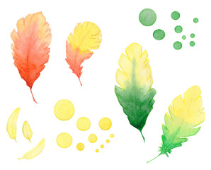Watercolor set with feathers and circles green, yellow, red isolated on white.