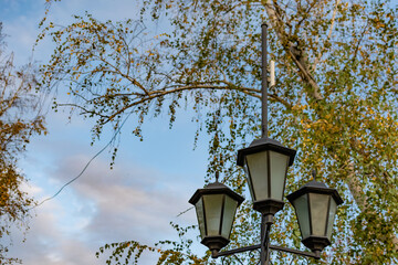 Fototapeta na wymiar Simple street lights under the open sky. Black metal frame and dusty white glass with light bulbs