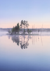 Plakat Scenic nature landscape with mood fog and beautiful sunrise at early summer morning in lakeside Finland