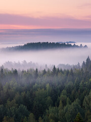 Paysage brumeux pittoresque avec forêt d& 39 humeur au matin d& 39 été au parc national, Finlande. Vue aérienne grand angle.