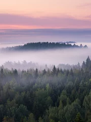 Papier Peint photo Lavable Forêt dans le brouillard Paysage brumeux pittoresque avec forêt d& 39 humeur au matin d& 39 été au parc national, Finlande. Vue aérienne grand angle.