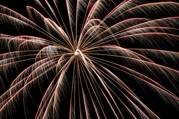 Colorful festive fireworks in the night sky