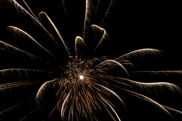 Colorful festive fireworks in the night sky