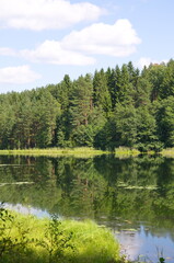 Fototapeta na wymiar Nature of Seliger. Summer view of lake Dohlets in Tver region, Russia