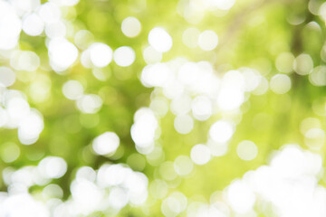 Green bokeh light background blur
