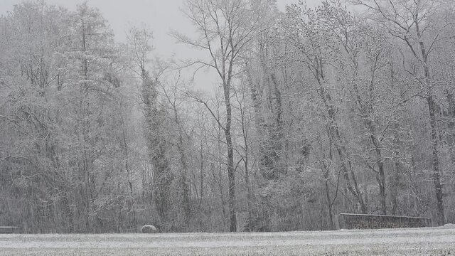 snowstorm in the mountains