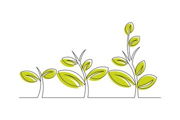 Continuous line drawing of step of tree growth. Vector illustration