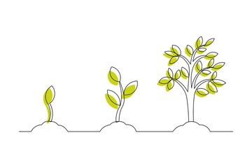 Continuous line drawing of step of tree growth. Vector illustration