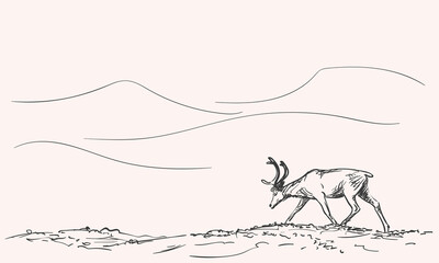 reindeer © art_of_line