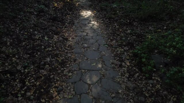 antica strada romana sul monte Tuscolo, nei pressi di Roma.