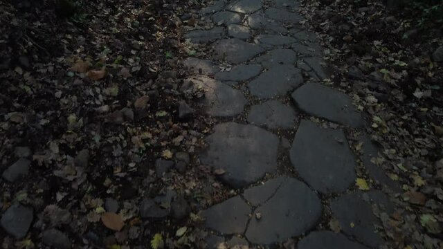antica strada romana sul monte Tuscolo, nei pressi di Roma.