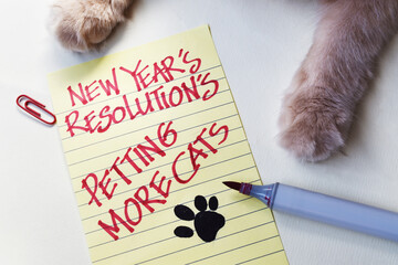 Cat lover new year resolution concept