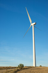 Fototapeta premium Alternative wind energy concept view