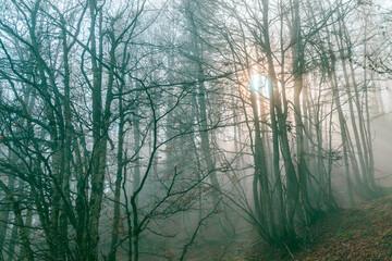 Obraz premium Cloudy autumn day in the italian alps