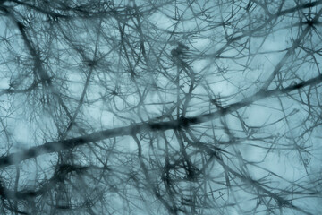 Raindrops on a glass background . Abstract background