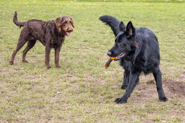 Mag ik jouw speeltje?