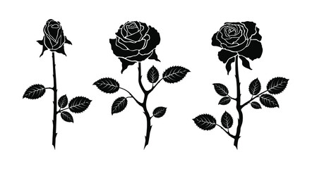 Set roses flowers isolated on white background. Mix flower vector for design.