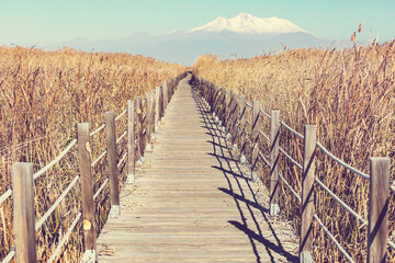 Obraz premium Boardwalk