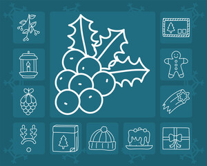 merry christmas berries with leaves and icon set vector design