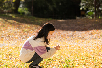 秋の公園でイチョウの落ち葉を観察している小学生の子供