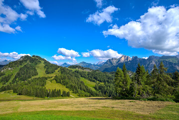 Paesaggio d'estate nelle Dolomiti, ai piedi del monte Civetta. Patrimonio Unesco
