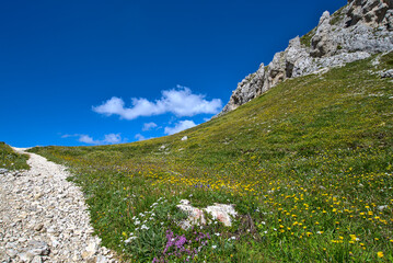 Paesaggio d'estate nelle Dolomiti, ai piedi del monte Civetta. Patrimonio Unesco