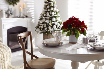 Christmas traditional flower Poinsettia on table with festive setting in room