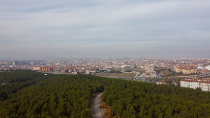 Fototapeta premium Eskisehir City Forest aerial drone view on pine forest