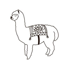 Hand drawn alpaca isolated on a white. Vector illustration. Hand drawn Peruvian animal, black and white doodle. Cute llama for tattoo design.
