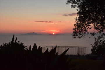 tramonto alberi silhouette