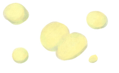 繁殖して増殖する薄黄色の菌のコロニー