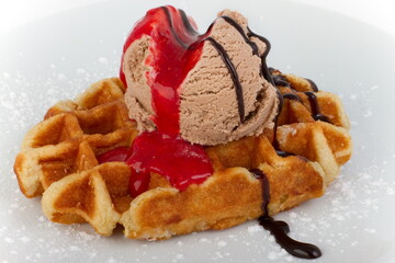 Brussels waffle with creme brulee ice cream, chocolate and cranberry sauce