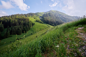 Fototapeta premium Beautiful summer mountains landscape. Green Alps view.
