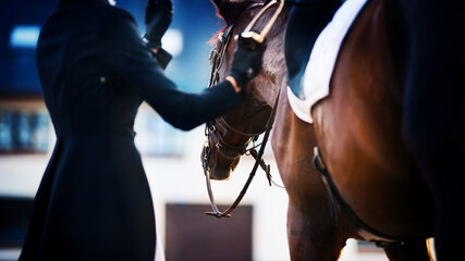 A rider in a dark suit and gloves adjusts the stirrup on the saddle, put on a strong Bay horse....