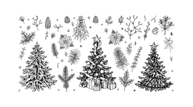 Set of hand drawn decorated Christmas trees, plant branches, cones and berries isolated on white background. Christmas decoration elements. Vector illustration.