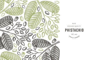 Hand drawn phistachio branch and kernels design template. Organic food vector illustration on white background. Retro nut illustration. Engraved style botanical banner.