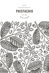 Fototapeta na wymiar Hand drawn phistachio branch and kernels design template. Organic food vector illustration on white background. Retro nut illustration. Engraved style botanical banner.