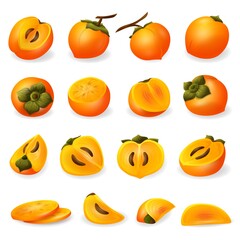 Persimmon icons set. Cartoon set of persimmon vector icons for web design