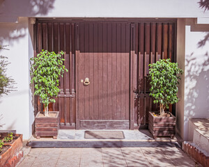 contemporary house entrance dark brown door and potted plants