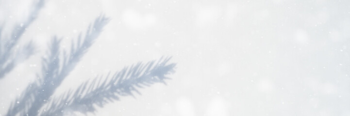 blurred photo of a shadow from a christmas tree branch on a white gray background of a wall or table. falling snow. banner