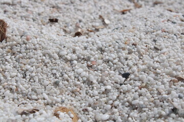 la spiaggia di quarzo di mari ermi