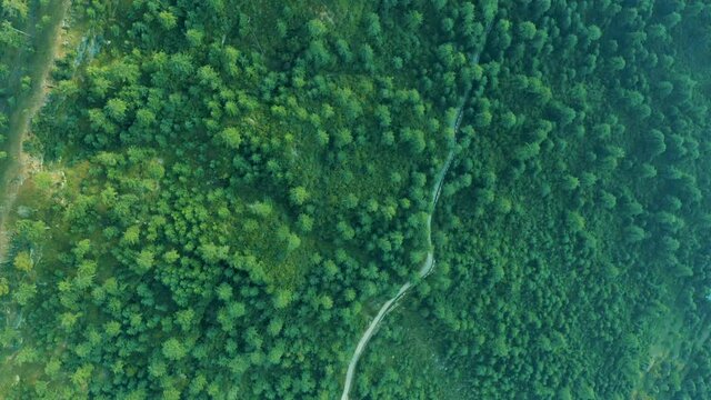4K Drone Footage, Aerial view of Patriata Murree, Lush Green Pine Trees Forest Landscape and Patriata Chairlift, New Murree, Punjab, Pakistan, 4K Forest Videos, 
