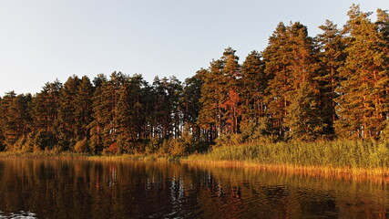 Obraz premium Scenery colorful amber forest woods on grassy river shore background in orange sunset sun shine with calm water, beautiful Russian European outdoor natural river landscape view at Sunny autumn evening
