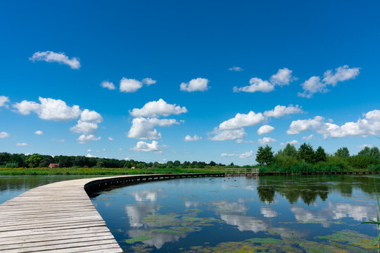 Wooden jetty, hiking path, in nature park Zuidpolder, Barendrecht, The Netherlands