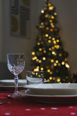 Wine glass elegant dining set for christmas dinner