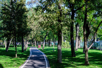 Bike and running lane in Drumul Taberei Park, also known as Moghioros Park, in Bucharest, Romania, at sunrise in an autumn morning.