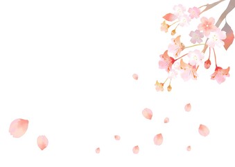 水彩の桜のイラスト素材　各パーツごとに動かせます
