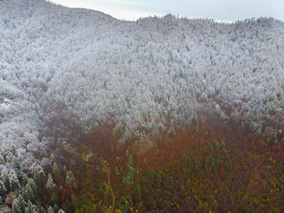 Winter descends easily from the mountains. The first snow above the trees