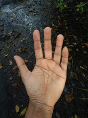 Hand in a beautiful background
