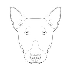 Bull Terrier dog easy coloring cartoon vector illustration. Isolated on white background